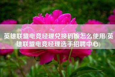英雄联盟电竞经理兑换码该怎么使用(英雄联盟电竞经理选手招聘中心)