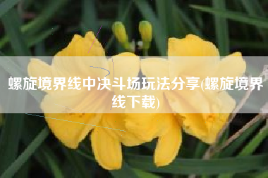 螺旋境界线中决斗场玩法分享(螺旋境界线下载)