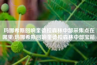 玛娜希斯回响奎德拉森林中部采集点在哪里(玛娜希斯回响奎德拉森林中部宝箱)