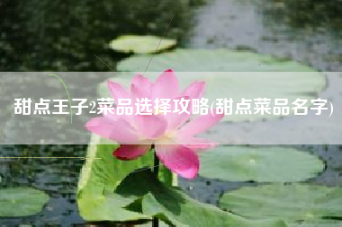 甜点王子2菜品选择攻略(甜点菜品名字)