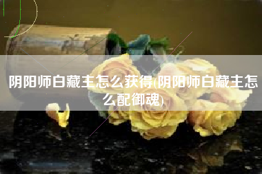 阴阳师白藏主怎么获得(阴阳师白藏主怎么配御魂)