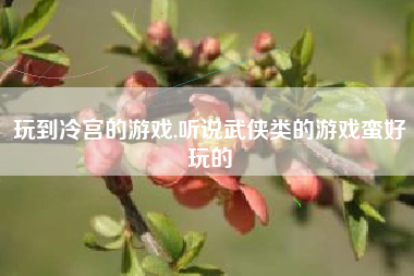 玩到冷宫的游戏,听说武侠类的游戏蛮好玩的