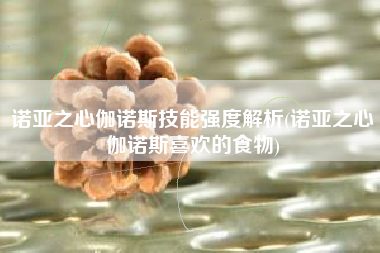 诺亚之心伽诺斯技能强度解析(诺亚之心伽诺斯喜欢的食物)