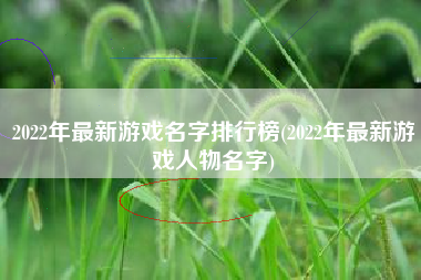 2022年最新游戏名字排行榜(2022年最新游戏人物名字)