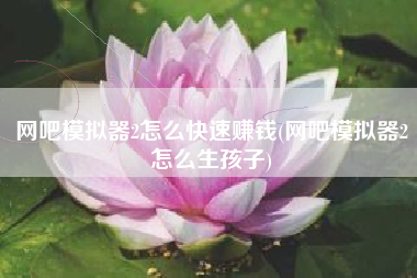 网吧模拟器2怎么快速赚钱(网吧模拟器2怎么生孩子)