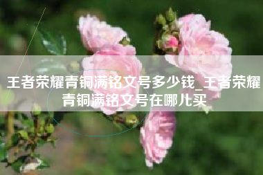 王者荣耀青铜满铭文号多少钱_王者荣耀青铜满铭文号在哪儿买