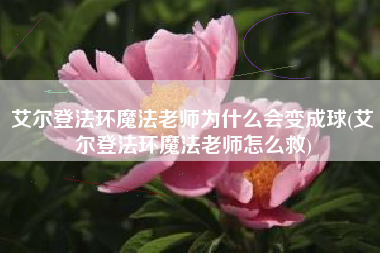 艾尔登法环魔法老师为什么会变成球(艾尔登法环魔法老师怎么救)