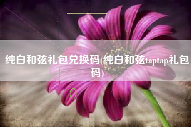 纯白和弦礼包兑换码(纯白和弦taptap礼包码)