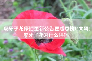 虎牙子龙停播更新公告要感恩榜12大哥(虎牙子龙为什么停播)