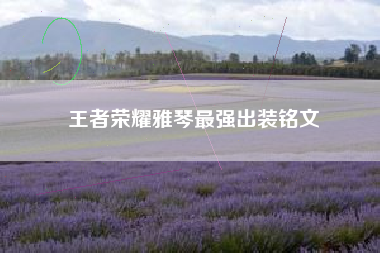 王者荣耀雅琴最强出装铭文