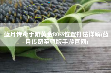蓝月传奇手游黄金BOSS位置打法详解(蓝月传奇至尊版手游官网)