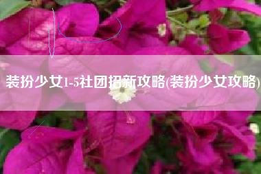 装扮少女1-5社团招新攻略(装扮少女攻略)