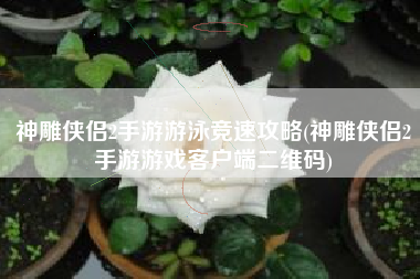 神雕侠侣2手游游泳竞速攻略(神雕侠侣2手游游戏客户端二维码)