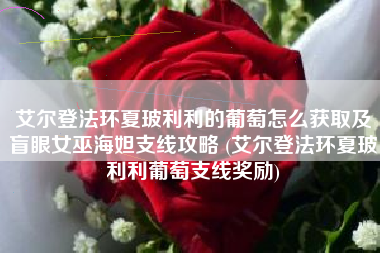艾尔登法环夏玻利利的葡萄怎么获取及盲眼女巫海妲支线攻略 (艾尔登法环夏玻利利葡萄支线奖励)