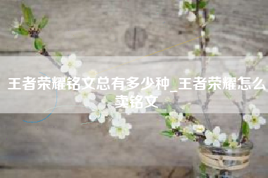 王者荣耀铭文总有多少种_王者荣耀怎么卖铭文