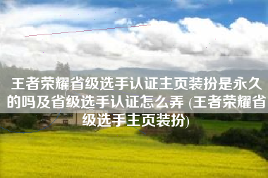 王者荣耀省级选手认证主页装扮是永久的吗及省级选手认证怎么弄 (王者荣耀省级选手主页装扮)