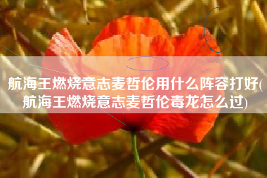 航海王燃烧意志麦哲伦用什么阵容打好(航海王燃烧意志麦哲伦毒龙怎么过)