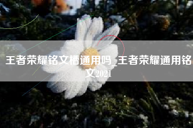 王者荣耀铭文槽通用吗_王者荣耀通用铭文2021