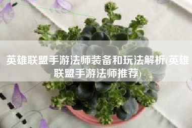 英雄联盟手游法师装备和玩法解析(英雄联盟手游法师推荐)