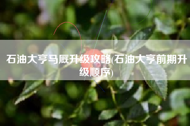 石油大亨马厩升级攻略(石油大亨前期升级顺序)