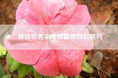 神骑世界宗次郎能用到后期吗