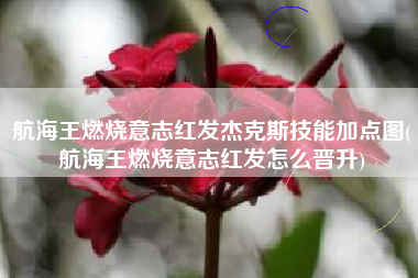 航海王燃烧意志红发杰克斯技能加点图(航海王燃烧意志红发怎么晋升)