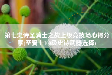 第七史诗圣骑士之战上级竞技场心得分享(圣骑士100级史诗武器选择)