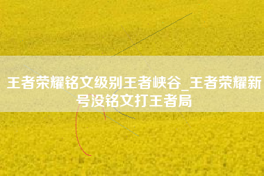 王者荣耀铭文级别王者峡谷_王者荣耀新号没铭文打王者局