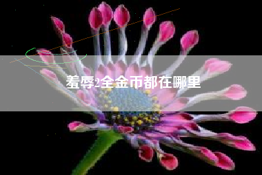 羞辱2全金币都在哪里