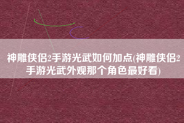 神雕侠侣2手游光武如何加点(神雕侠侣2手游光武外观那个角色最好看)
