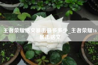 王者荣耀铭文暴击最多多少_王者荣耀16暴击铭文