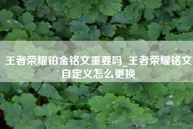 王者荣耀铂金铭文重要吗_王者荣耀铭文自定义怎么更换