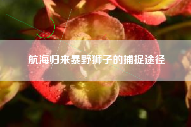 航海归来暴野狮子的捕捉途径