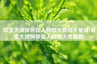 百变大侦探你在人间烟火处凶手是谁(百变大侦探你在人间烟火处真相)