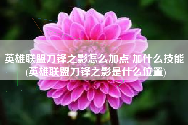 英雄联盟刀锋之影怎么加点 加什么技能 (英雄联盟刀锋之影是什么位置)