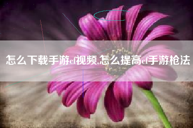 怎么下载手游cf视频,怎么提高cf手游枪法