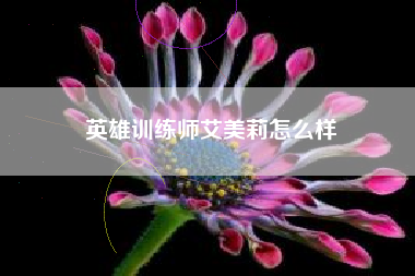 英雄训练师艾美莉怎么样