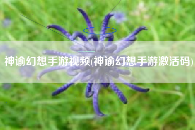 神谕幻想手游视频(神谕幻想手游激活码)