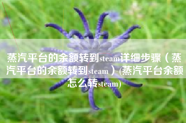 蒸汽平台的余额转到steam详细步骤（蒸汽平台的余额转到steam）(蒸汽平台余额怎么转steam)