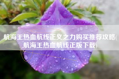 航海王热血航线正义之力购买推荐攻略(航海王热血航线正版下载)