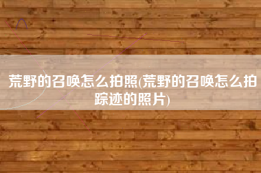 荒野的召唤怎么拍照(荒野的召唤怎么拍踪迹的照片)