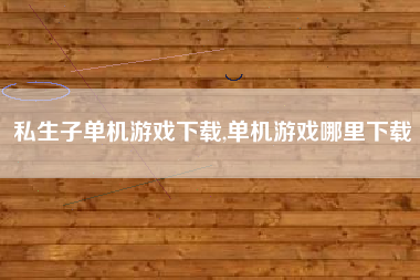私生子单机游戏下载,单机游戏哪里下载