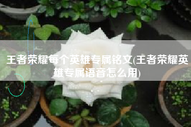 王者荣耀每个英雄专属铭文(王者荣耀英雄专属语音怎么用)