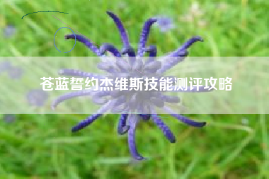 苍蓝誓约杰维斯技能测评攻略