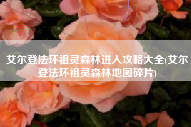 艾尔登法环祖灵森林进入攻略大全(艾尔登法环祖灵森林地图碎片)