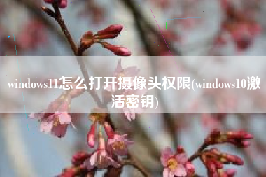 windows11怎么打开摄像头权限(windows10激活密钥)