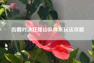 街霸对决狂隆山队体系玩法攻略