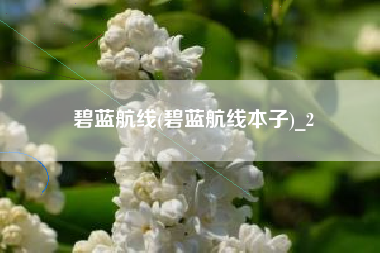 碧蓝航线(碧蓝航线本子)_2