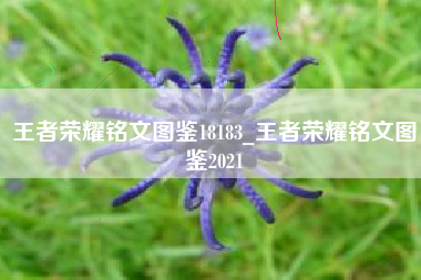 王者荣耀铭文图鉴18183_王者荣耀铭文图鉴2021