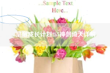 皇帝成长计划2h5神剑倚天详解